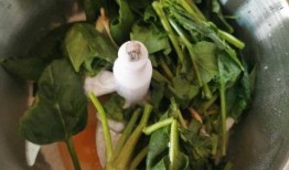 菠菜最新爆料视频